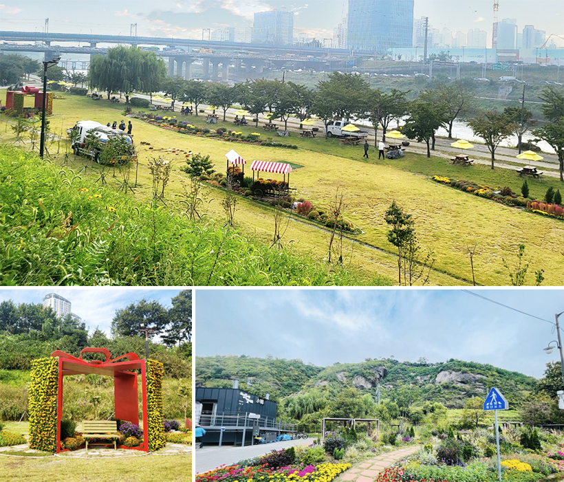 중랑천 피크닉장 / 용비쉼터 정원