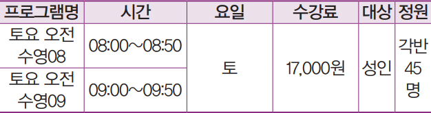 성인 단체 수영 프로그램 안내