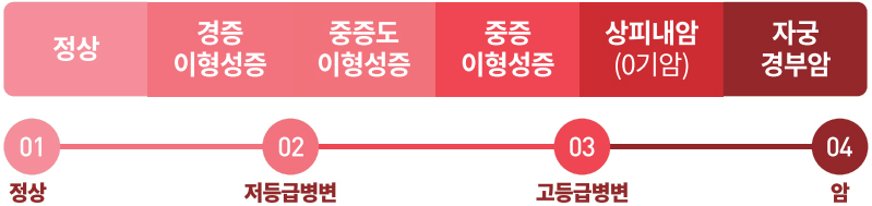 01 정상 : 정상 | 02 저등급병변 : 경증 이형성증 | 중증도 이형성증 | 03 고등급병변 : 중증 이형성증 | 상피내암(0기암) | 04 암 : 자궁경부암