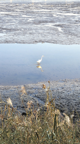 김은주 님 사진
