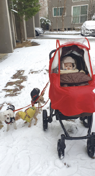 김규랑 님 사진