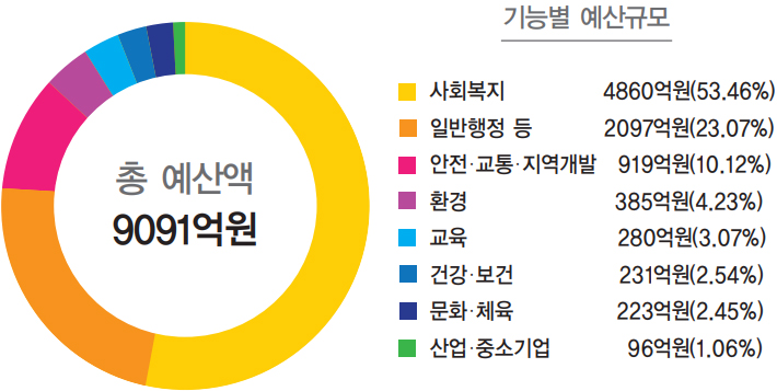 총 예산액 9091억원 기능별 예산규모 사회복지 4860억원(53.46%) 일반행정 등 2097억원(23.07%) 안전·교통·지역개발 919억원(10.12%) 환경 385억원(4.23%) 교육 280억원(3.07%) 건강·보건 231억원(2.54%) 문화·체육 223억원(2.45%) 산업·중소기업 96억원(1.06%)