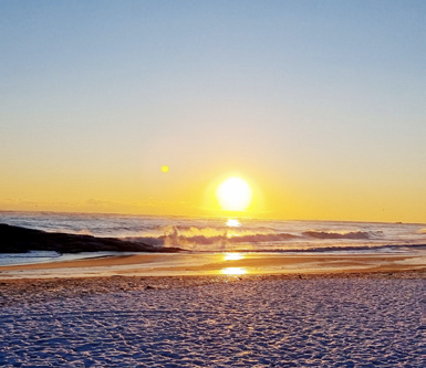 우다미 님 사진