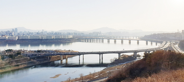 박준영 님 사진