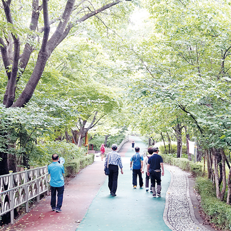 개운산 공원