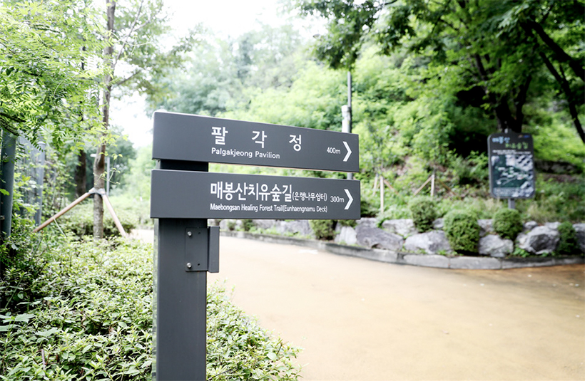 매봉산 공원