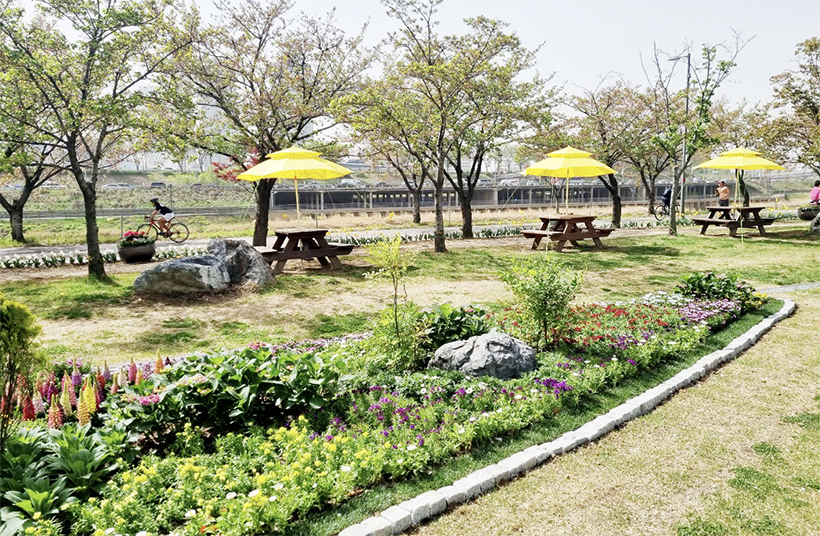 중랑천 피크닉장