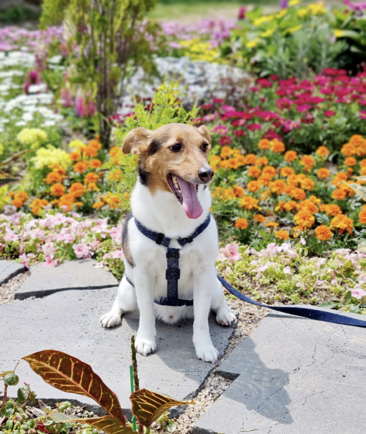 전미혜 님 사진