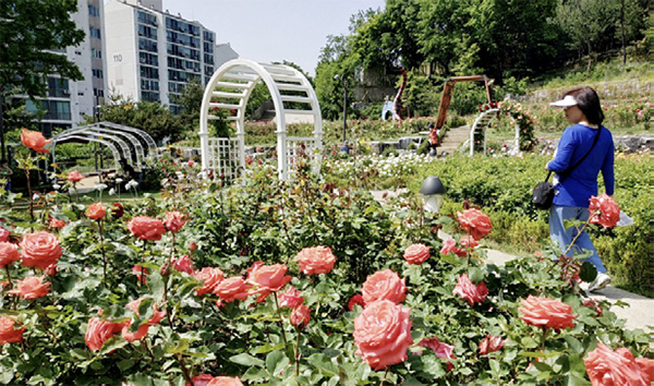 김혜완 님 사진