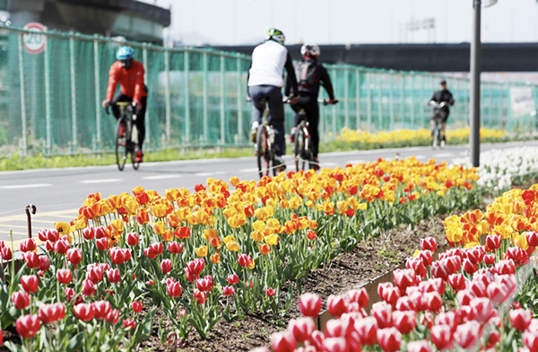 성동구민 자전거보험