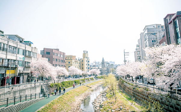 성북천 수변광장