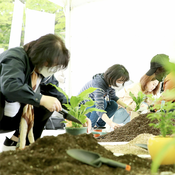 나만의 반려 식물 심기