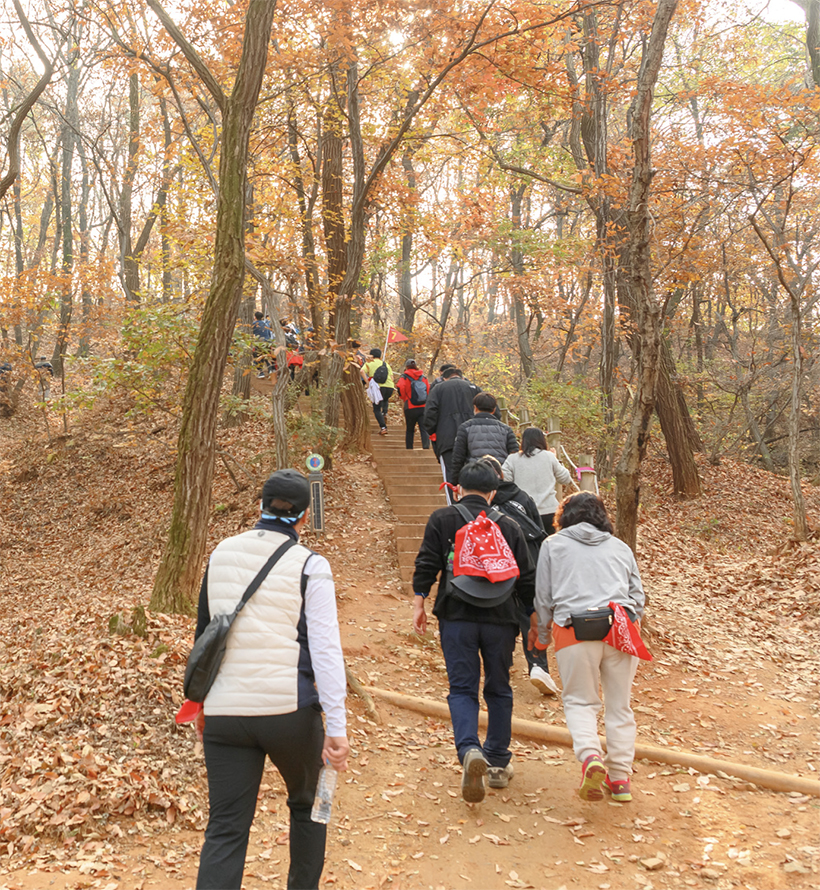 양천가족 등산대회