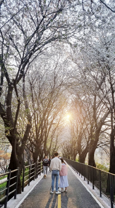 김상임 님 사진