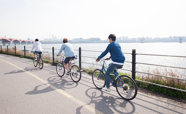 성동구민 자전거보험