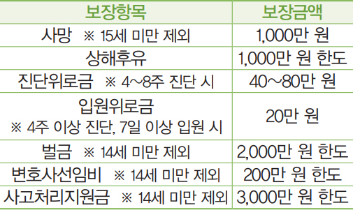 보장항목별 금액 안내
