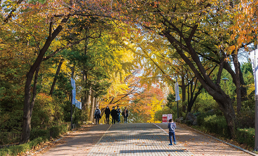 서울어린이대공원 외곽 산책길