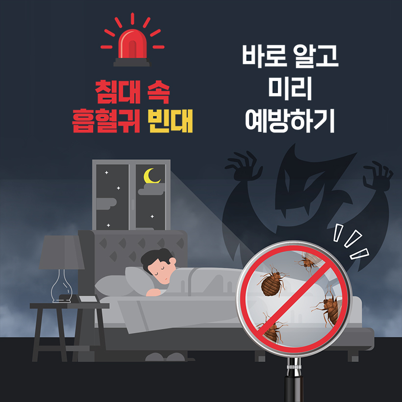 침대 속 흡혈귀 빈대 바로 알고 미리 예방하기