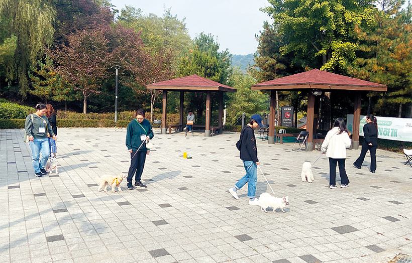 반려견 산책교육