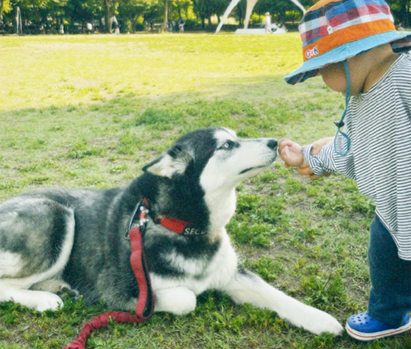 김범수 님 사진