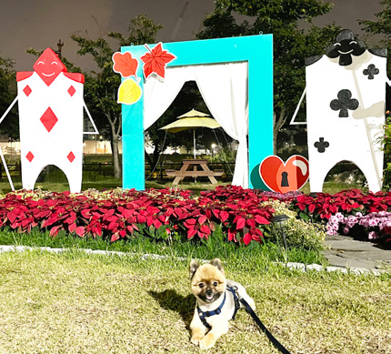 안희선 님 사진