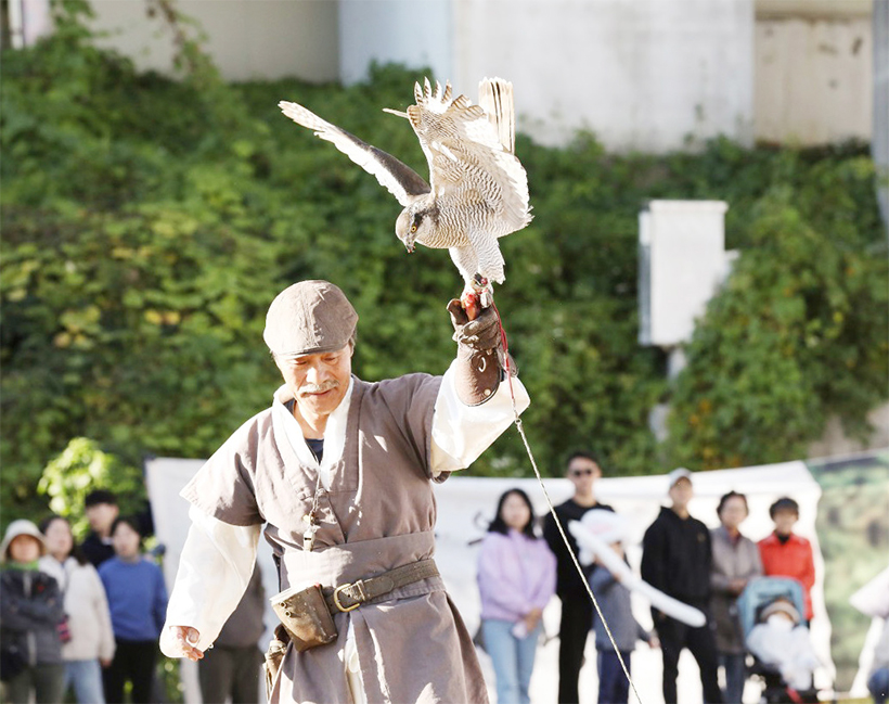 응봉동 매사냥 축제