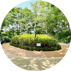 응봉근린공원 대현산 황톳길