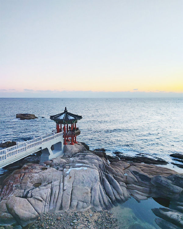 김은실 님 사진