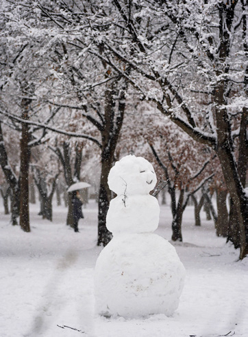 김혜주 님 사진