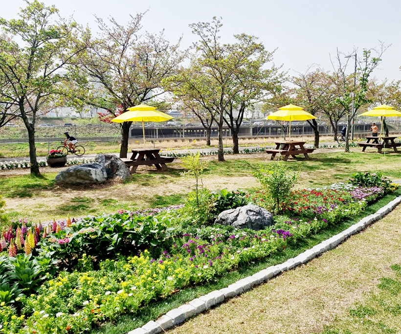 중랑천 피크닉장