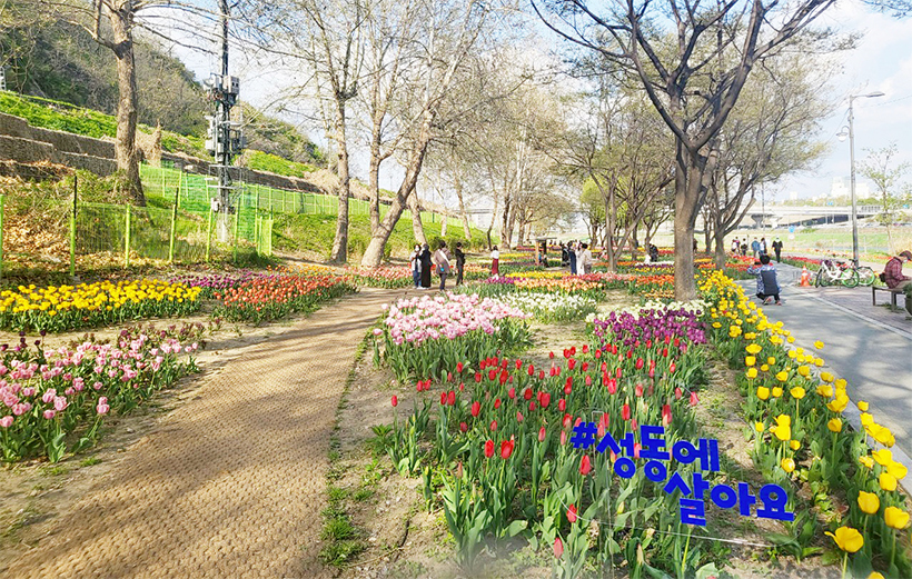 중랑천 용비쉼터 정원