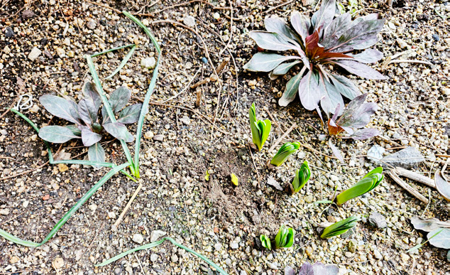 김민선 님 사진