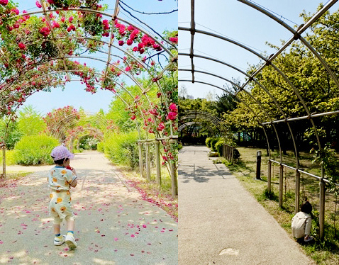 박지혜 님 사진