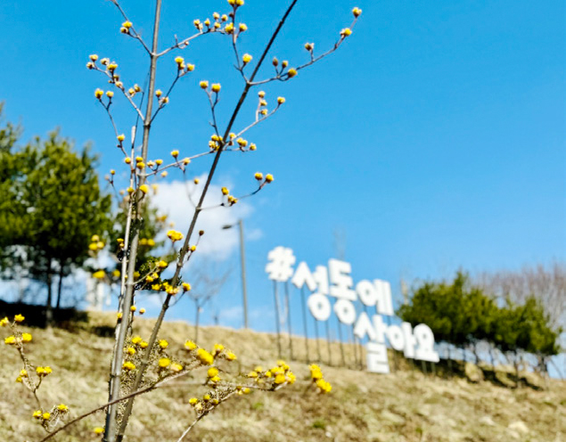 문다솜 님 사진