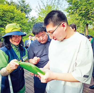 서리풀 숲속 상상학교