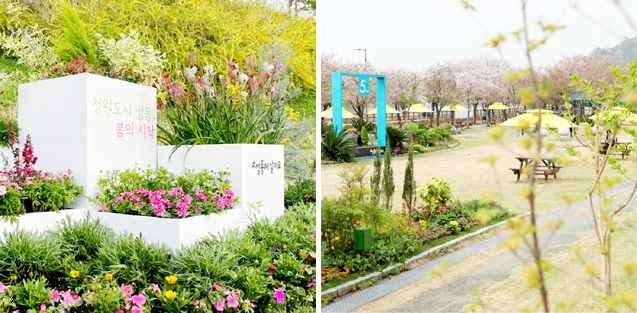 중랑천 피크닉정원