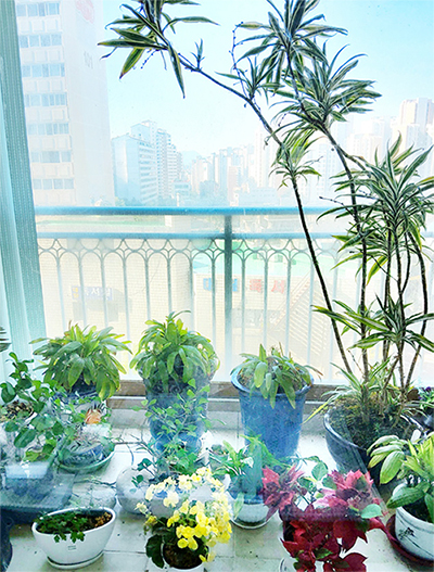 김혜완 님 사진