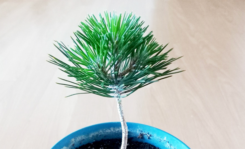 최문선 님 사진