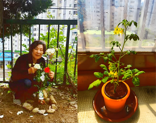 홍옥순 님 사진