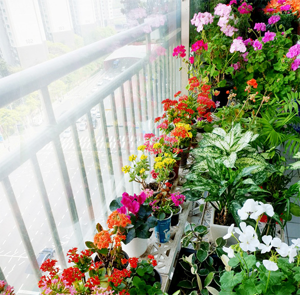 이신애 님 사진