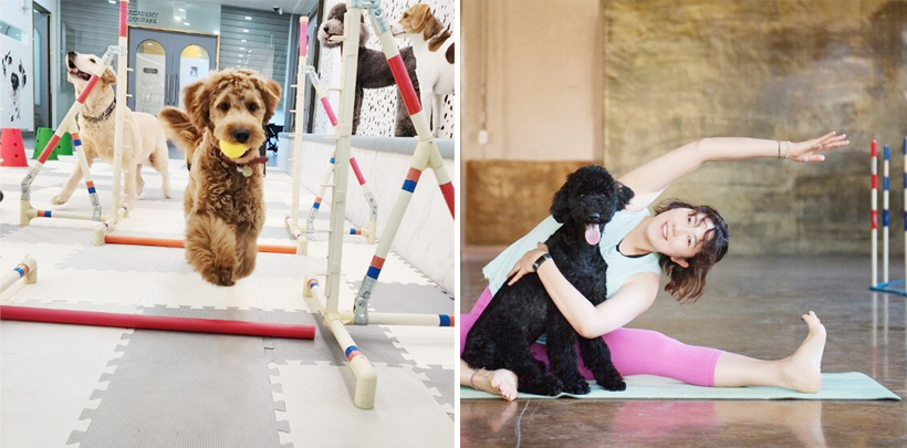 반려동물 문화교실