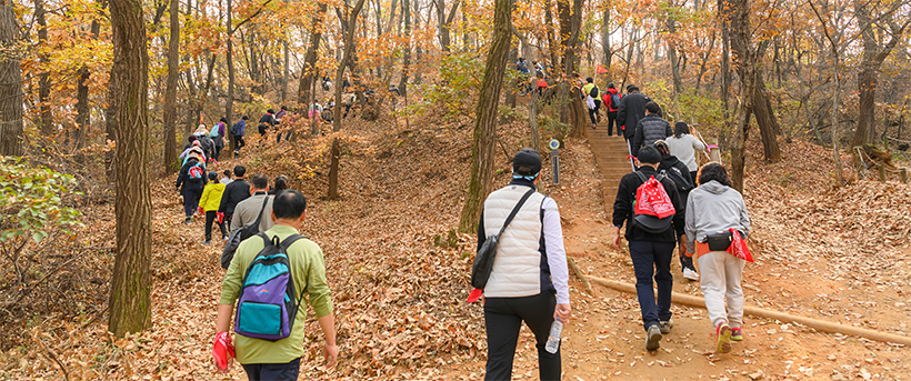 양천가족 등산대회