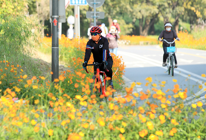 중랑천 용비쉼터 정원