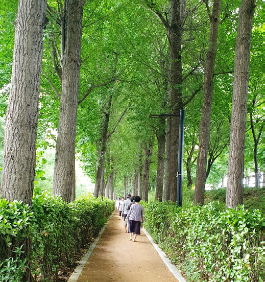 이미순 님 사진