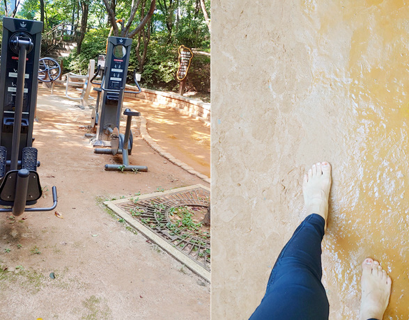 홍수정 님 사진