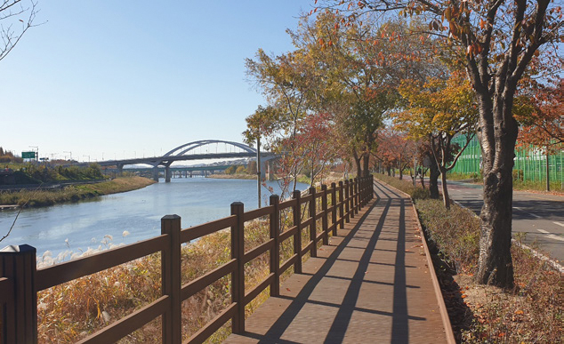 최정애 님 사진
