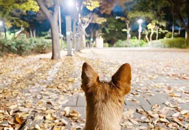 윤원희 님 사진