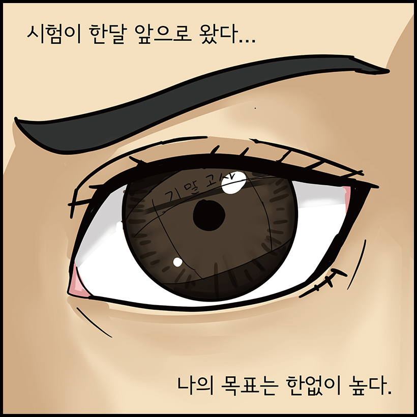 시험이 한달 앞으로 왔다... 나의 목표는 한없이 높다.