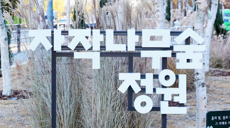 마장동 자작나무 숲정원