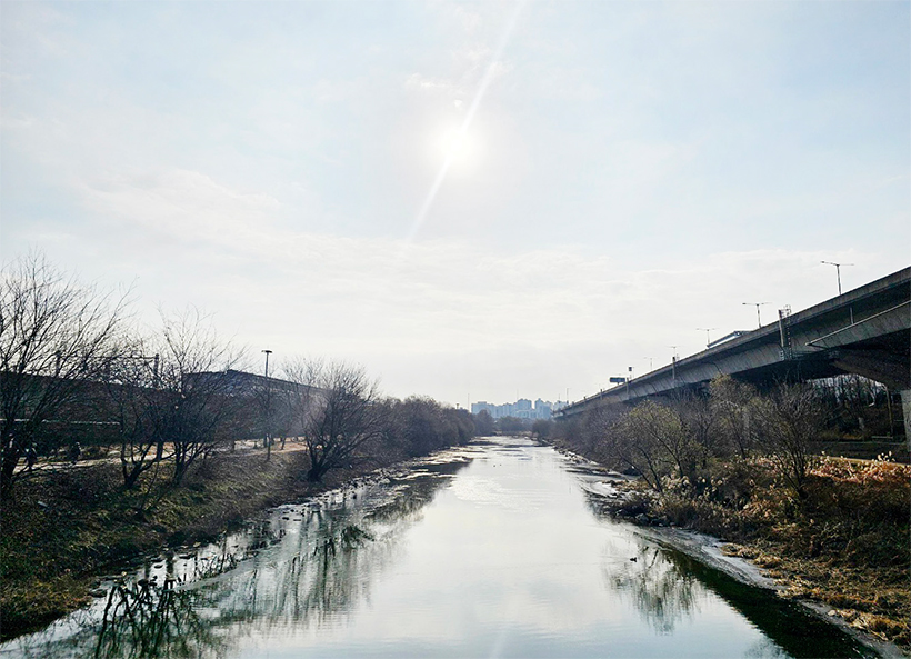 박언주 님 사진